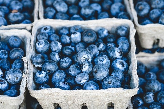 lose belly fat - blueberries